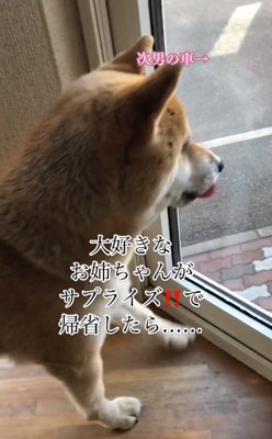 ソワソワする朔くん