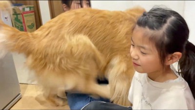 2人の女の子の間をすり抜ける犬