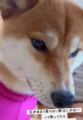 不満そうな表情…