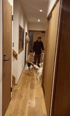 今日は「やっと尻尾を振って出迎えた記念日」