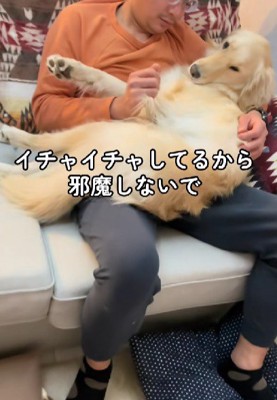 誰にも近寄ってほしくない