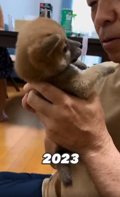 ソラちゃんを見つめるおじいちゃん