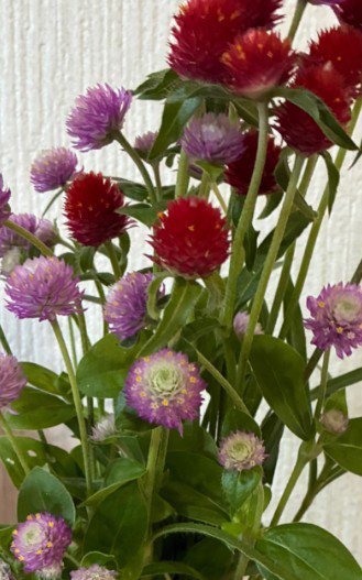 配達員さんが届けてくれたもの…