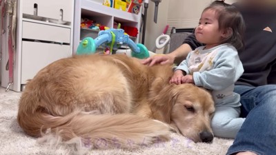 仲睦まじい姿にホッコリ