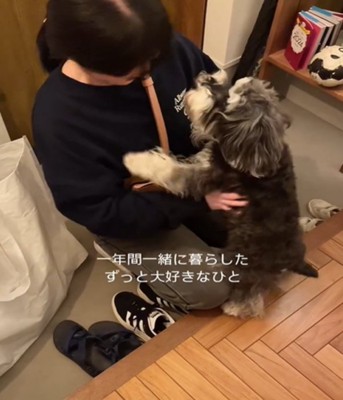 見つめる犬1