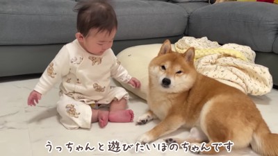 起き上がってしまうほのちゃん