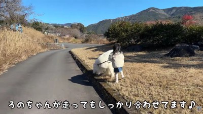 大人顔負けのリード引き！