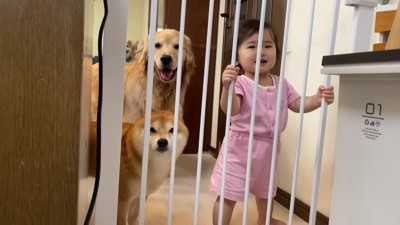 みんな集まってきた