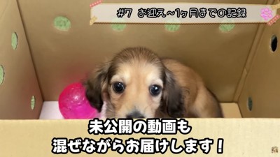 ゆらちゃんの姿が♡