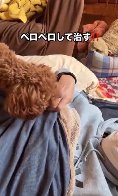 パパさんが熱でダウンした時のポポくん3