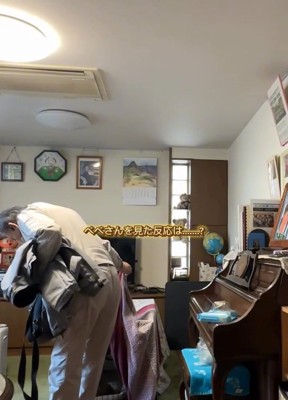 布をめくるお父さん2