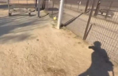 わんこたちはいつ出てくるの…？