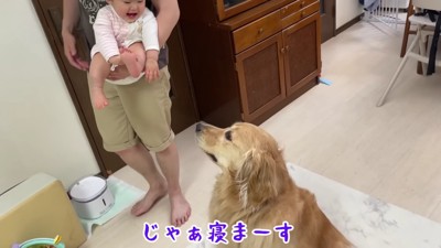 行っちゃった…