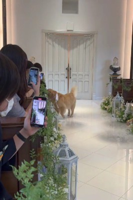 「来てくれてありがとう！！」