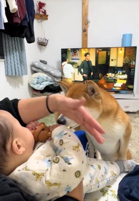 手でさえぎっても止めません