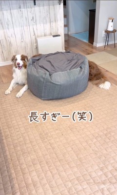 体が長く見えるガルチェロくん3