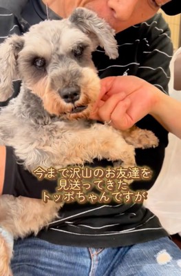 ご家族に抱っこされる犬