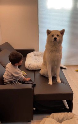 座っちゃった！