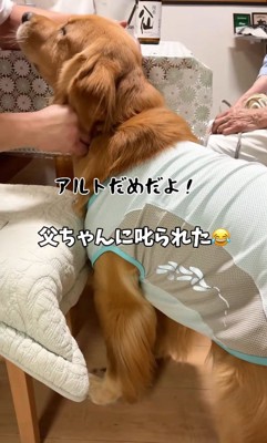パパさんに叱られてしょんぼり…