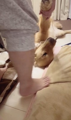 お父さんに交代