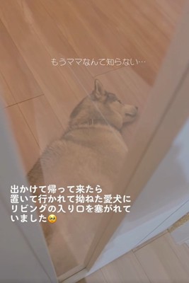 いじけるセナくん2