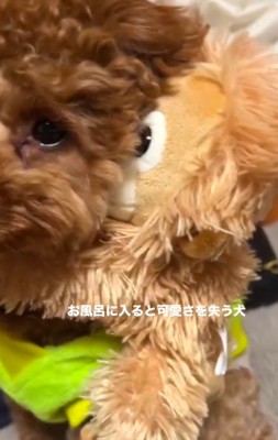 お風呂に入ることに…