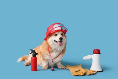 消防士コスプレの犬