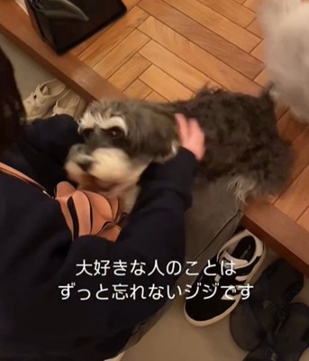 抱きつく犬1