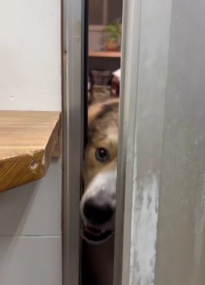 「何してるの?」