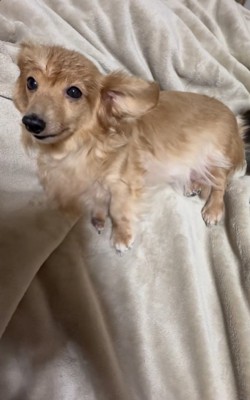 目覚めたピースちゃん