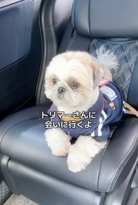 覚えているかな？