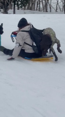 女性の背中に体を押しつける茶色い犬