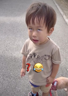 仕上がっています