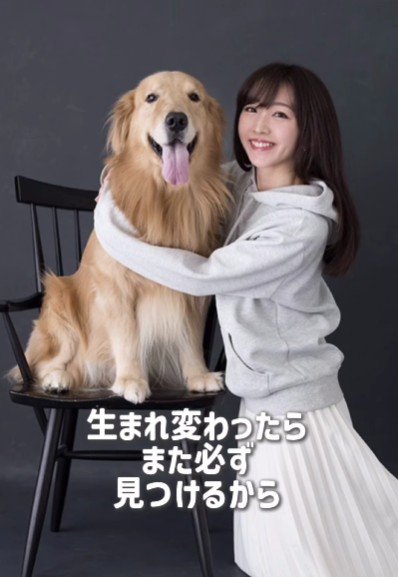 「生まれ変わったら必ずまた見つける」