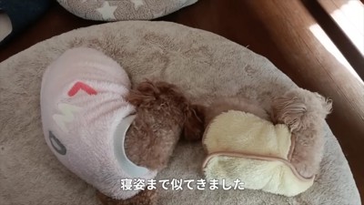 寝相まで一緒に…