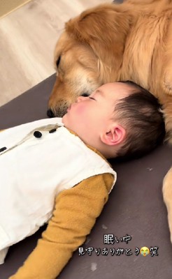 頼もしい兄でした!