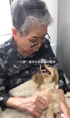 祖母に抱っこされる小型犬