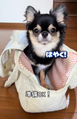 こまちゃんとおばあちゃん2