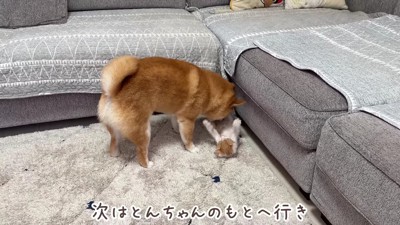「一緒に遊ぼうよ」