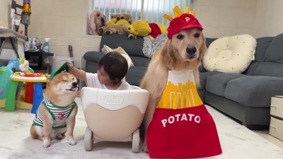 ドライブスルーごっこ!