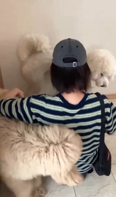 ますお君&まるお君とママさんの再会9