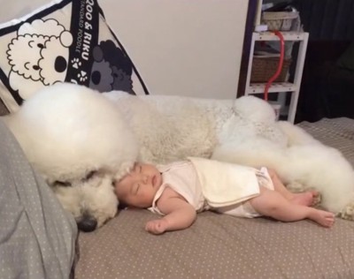 寄り添ってZZZ…