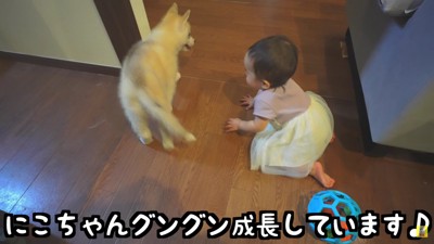 サイズももうすぐ逆転しそう…！