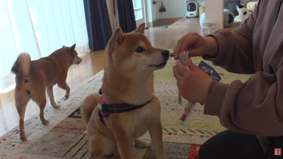 おやつでゴキゲンに♪