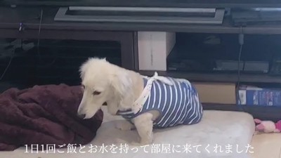 人との触れ合いはほとんどない