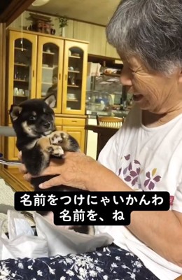 あさちゃんを見つめるおばあちゃん