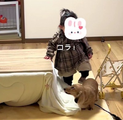 ぶつかっちゃった！！