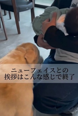 飼い主の側に寄る犬