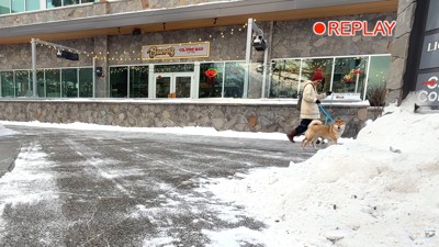 そのままフレームアウト（笑）