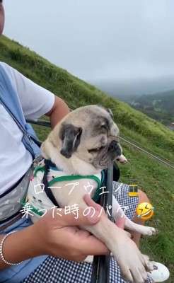 リフトに乗るデビちゃん